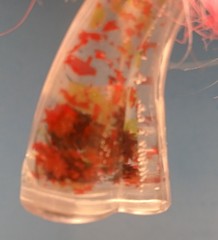 My Little Pony G4 Rainbow Shimmer Princess Celestia 4” Brushable Water Cuties