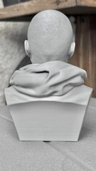 Breaking Bad Jesse Pinkman 3D Printed Bust Statue 6.5 Inches Gray