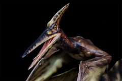 DINO DREAM 1/15 Pteranodon with Base Dinosaur Model GK Animal Figure Toys Gift