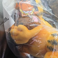 Garfield – 13″ Stylized Medium Plush – Garfield Loves Pooky