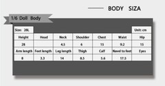 LDDOLL1/6 Silicone Flexible Seamless Figure Female Body Simplemakeup normal 28L