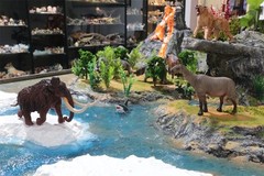 Earth Story Male Dire Wolf Model Prehistoric Animal Figure Adult Kids Gift Toys