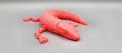 Komodo Dragon Flexi | 3D Printed Realistic Animal | Flexible Desk Toy Pet