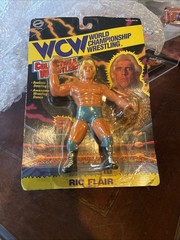 Blue Tights Ric Flair WCW Original San Francisco Toy Makers￼ RARE Holy Grail