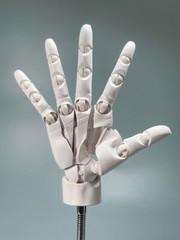 1:1 Hand Model Sculptures Movable Finger Joint Anime Painting Element Art Tool