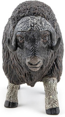 – Musk Ox Figurine – for Ages 3 and Up – Realistic Hand-Painted Wildlife Model –