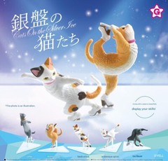 Blind Box Cat Skater Mini Figure Japanese Gashapon Capsule Toy 1 Random Style