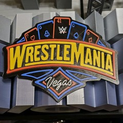 WWE Mattel WrestleMania 41 2025 Logo Accessory