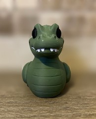 Alligator Duck – Jeep Ducking – Cruises – Collectibles