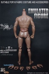 ZC Toys 1/6 Scale 12″ Muscular Male Action Figure Body For Hot Toys Head Sculpt