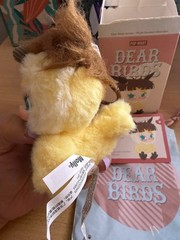 Pop Mart Dear Birds Series Plush Pendant Molly my sweet trouble-US FAST SHIPPING