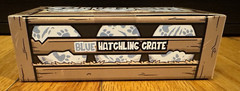 Lone Coconut Blue Hatchling Crate Plunderlings Plunderstrongs Plunderlongs NRFB