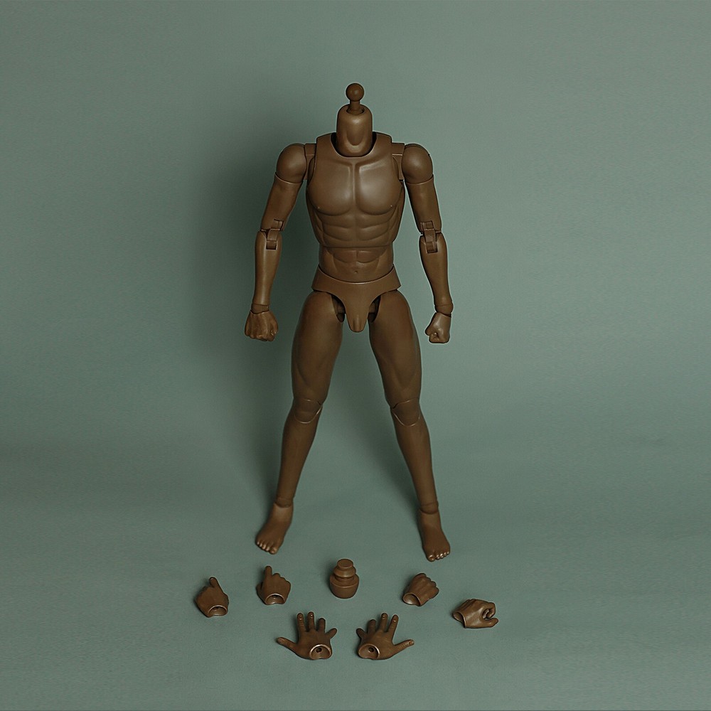 1:6 Scale Muscular Male Action Body Model 12″ Action Figure Body For Hot Toys