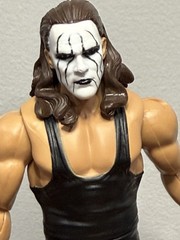 WWE Custom Sting Crow Main Event Elite AEW Bat and Toybiz Coat WCW NWO Mattel
