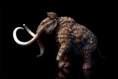 TNG Mammonteus Primigenius Model Elephant Animal Figure Toys Decor Xmas Gift