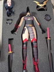 1/6 Phantom Killer Female warrior TBLeague seamless body figure in box