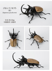 The Diversity of Life on Earth Beetle 10 Action Figure Bandai Capsule Toy