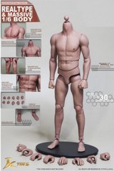 1/6 Male Muscular Body JXTOYS S01 NARROW SHOULDER 12″ Figure Bruce Lee ❶USA❶