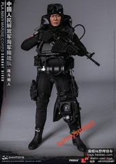 DAMTOYS 78073 1/6 PLA Navy Marine Corps Combat Frogman Special Forces In Stock