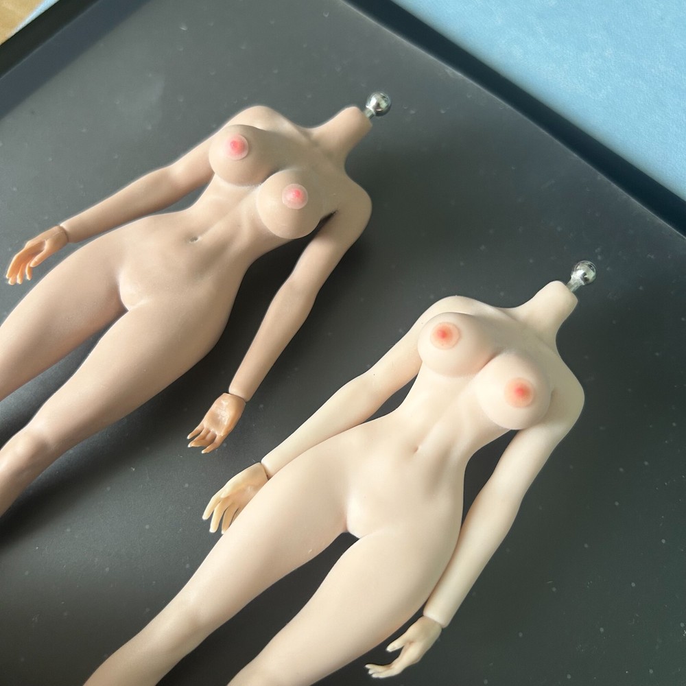 US 1/12 Female Breast Patch Set 2 pairs Fit 6″ TB Seamless Figure Body Model Toy