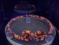 Black Myth: Wukong The Incantation of the Golden Hoop Flame Stone Cosplay Props