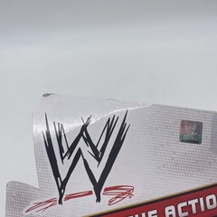 WWE Mattel Basic Alicia Fox Series 23 Wrestling Figure! Card Wear!