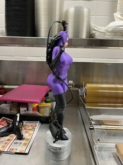 Catwoman Knight Fall