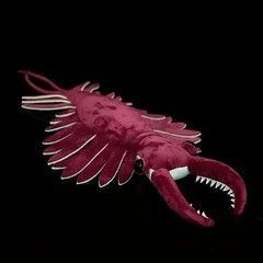 Realistic Anomalocaris Plush Vibrant Red Shrimp Stuffed Animal Kids Gift