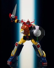 BANDAI SMP SHOKUGAN Modeling Project Mirai Robo Daltanious Cross-In Set