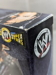 WWE Shop Exclusive Summer Slam Classic Superstars Matt Hardy Jeff Hardy Figures