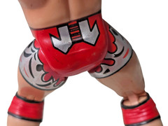 2005 ToyBiz TNA Impact Jeff Jarrett 6″ Wrestling Action Figure