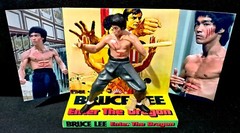 BRUCE LEE 🥋 ENTER THE DRAGON 🥋 Action Figure on Custom Design Display Diarama