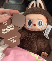 Secret Chase Item:POPMART The Monsters Tasty Macaron Chestnut Cocoa Single Decor