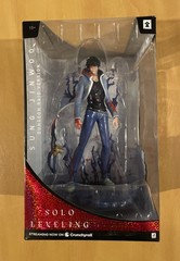 Crunchy x Jazwares: Solo Leveling Sung Jinwoo (Dungeon Raid Version) Total Anime