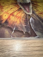 Jurassic World JUMBO Coloring and Activity Book Tear On Bottom
