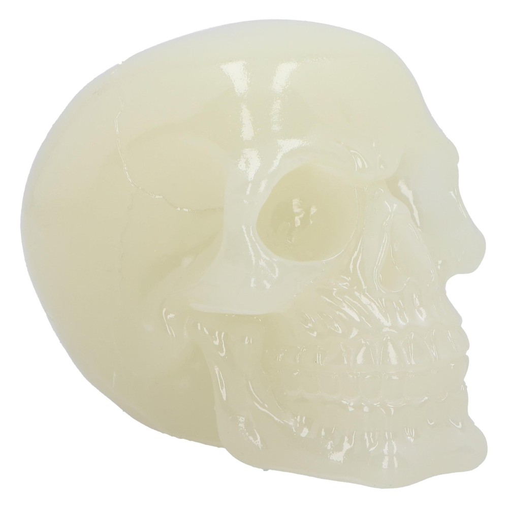 Nemesis Now Phosphorescent Glow in Dark Skull Figurine, Resin, Luminous Green, 1