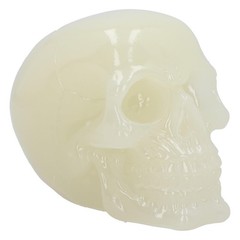 Nemesis Now Phosphorescent Glow in Dark Skull Figurine, Resin, Luminous Green, 1