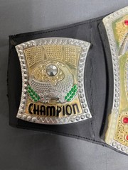 WWE Wrestling Champion Monday Night Raw Lights and Sound Belt Te