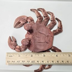 Ghost Crab Toy Articulated 3D Printed Handmade Novelty Varying Colors