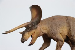 PNSO 1/35 New Version Triceratops Model Adult Children Toys Gift Dinosaur Figure