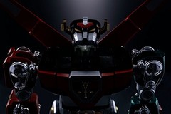 Soul of Chogokin GX-71 Beast King GoLion 270mm ABS Die-cast PC PVC Action Figure