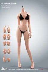 1/6 Normal Large Breast Super Flexible Makeup Seamless Body Figure With Detail