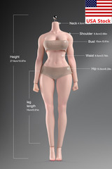 ANT T307 1/6 Female Sexy Large Bust Fitness Muscle Plump Body For 12”Figure