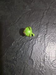 LOST KITTIES SERIES 1 Green Cat 1.5” Action Figure PVC BONBON 2018 Toy Heart Eye