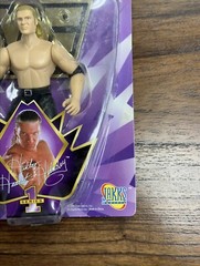 Jakks Hunter Hearst Helmsley HHH Triple H Signature Series 1 Figure 1997 WWE
