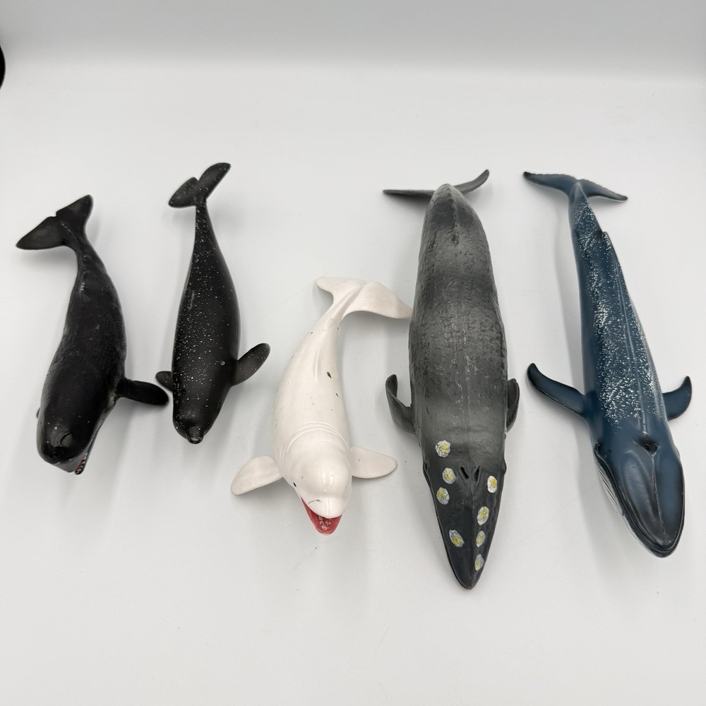 5 Whale Narwhal Realistic Toy Lot Ocean Life 6-11” Unbranded Schleich Type READ