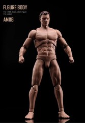 US 1:12 Flexible Muscular Male Strong Joint Body Head Hand Shape 6″ Figure