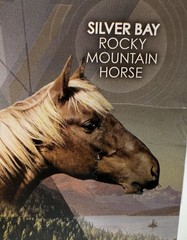 Royal Breeds Silver Bay Horses 85105 Play Set And Extras Lanard Toys New