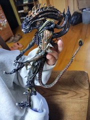 NECA17cm Alien vs. Predator Action Figure Alien Alien Dog Alien Queen Model Toys