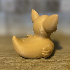 Chihuahua Duck